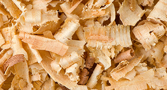 山東豐源生物質(zhì)發(fā)電股份公司